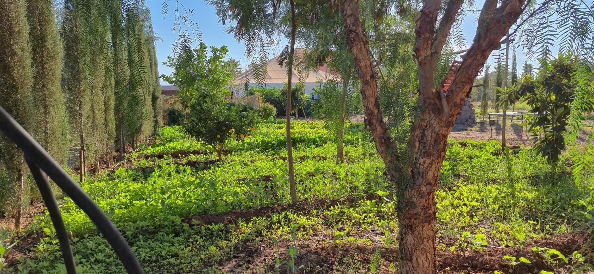 La Terra Rosa Hotell Douar Akkara Exteriör bild